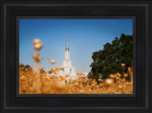 Load image into Gallery viewer, Sacramento Cotton Grass
