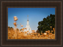 Load image into Gallery viewer, Sacramento Cotton Grass
