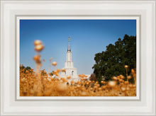 Load image into Gallery viewer, Sacramento Cotton Grass
