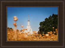 Load image into Gallery viewer, Sacramento Cotton Grass
