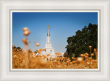 Load image into Gallery viewer, Sacramento Cotton Grass
