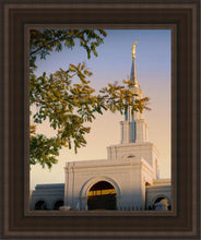 Load image into Gallery viewer, Sacramento Close Crop
