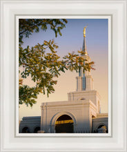 Load image into Gallery viewer, Sacramento Close Crop
