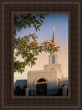 Load image into Gallery viewer, Sacramento Close Crop
