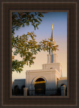 Load image into Gallery viewer, Sacramento Close Crop
