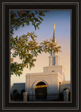 Load image into Gallery viewer, Sacramento Close Crop
