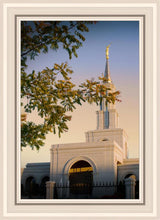 Load image into Gallery viewer, Sacramento Close Crop
