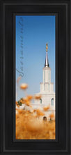 Load image into Gallery viewer, Sacramento Spire
