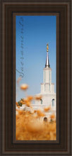 Load image into Gallery viewer, Sacramento Spire
