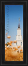 Load image into Gallery viewer, Sacramento Spire
