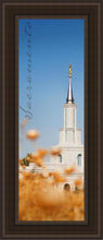 Load image into Gallery viewer, Sacramento Spire

