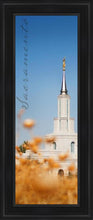 Load image into Gallery viewer, Sacramento Spire
