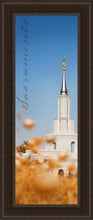 Load image into Gallery viewer, Sacramento Spire

