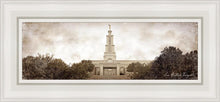 Load image into Gallery viewer, San Antonio Vintage
