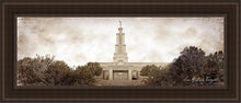 Load image into Gallery viewer, San Antonio Vintage
