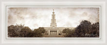 Load image into Gallery viewer, San Antonio Vintage
