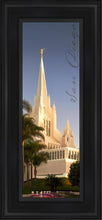 Load image into Gallery viewer, San Diego Spire
