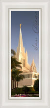 Load image into Gallery viewer, San Diego Spire
