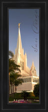 Load image into Gallery viewer, San Diego Spire
