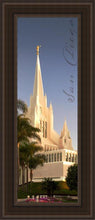 Load image into Gallery viewer, San Diego Spire
