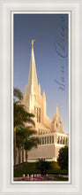 Load image into Gallery viewer, San Diego Spire
