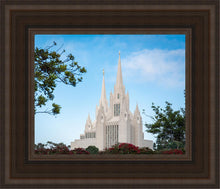 Load image into Gallery viewer, San Diego California Towering Spires
