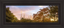 Load image into Gallery viewer, Washington DC Sunset
