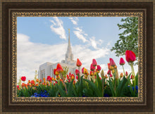 Load image into Gallery viewer, Ogden Flowers
