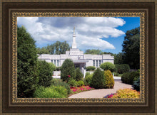 Load image into Gallery viewer, St. Paul Day
