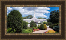 Load image into Gallery viewer, St. Paul Day
