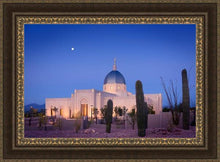 Load image into Gallery viewer, Tucson Cactus Morning
