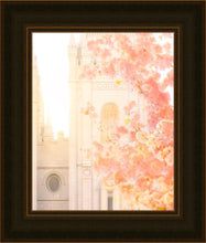 Load image into Gallery viewer, Salt Lake Blossom Glow
