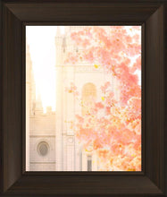 Load image into Gallery viewer, Salt Lake Blossom Glow

