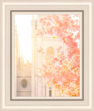 Load image into Gallery viewer, Salt Lake Blossom Glow
