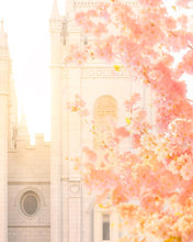 Load image into Gallery viewer, Salt Lake Blossom Glow
