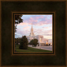 Load image into Gallery viewer, Bountiful Pastel Light
