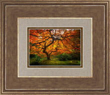 Load image into Gallery viewer, Tree of Perspective
