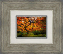 Load image into Gallery viewer, Tree of Perspective
