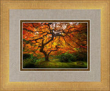 Load image into Gallery viewer, Tree of Perspective
