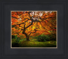 Load image into Gallery viewer, Tree of Perspective
