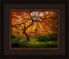 Load image into Gallery viewer, Tree of Perspective
