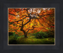 Load image into Gallery viewer, Tree of Perspective
