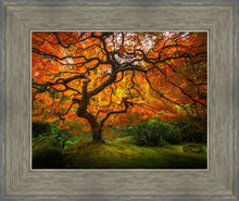 Load image into Gallery viewer, Tree of Perspective
