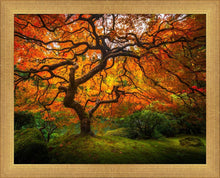 Load image into Gallery viewer, Tree of Perspective
