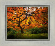 Load image into Gallery viewer, Tree of Perspective
