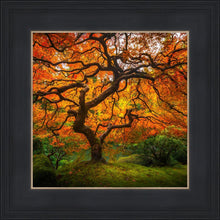 Load image into Gallery viewer, Tree of Perspective
