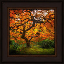 Load image into Gallery viewer, Tree of Perspective
