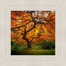 Load image into Gallery viewer, Tree of Perspective
