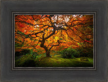 Load image into Gallery viewer, Tree of Perspective

