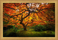 Load image into Gallery viewer, Tree of Perspective
